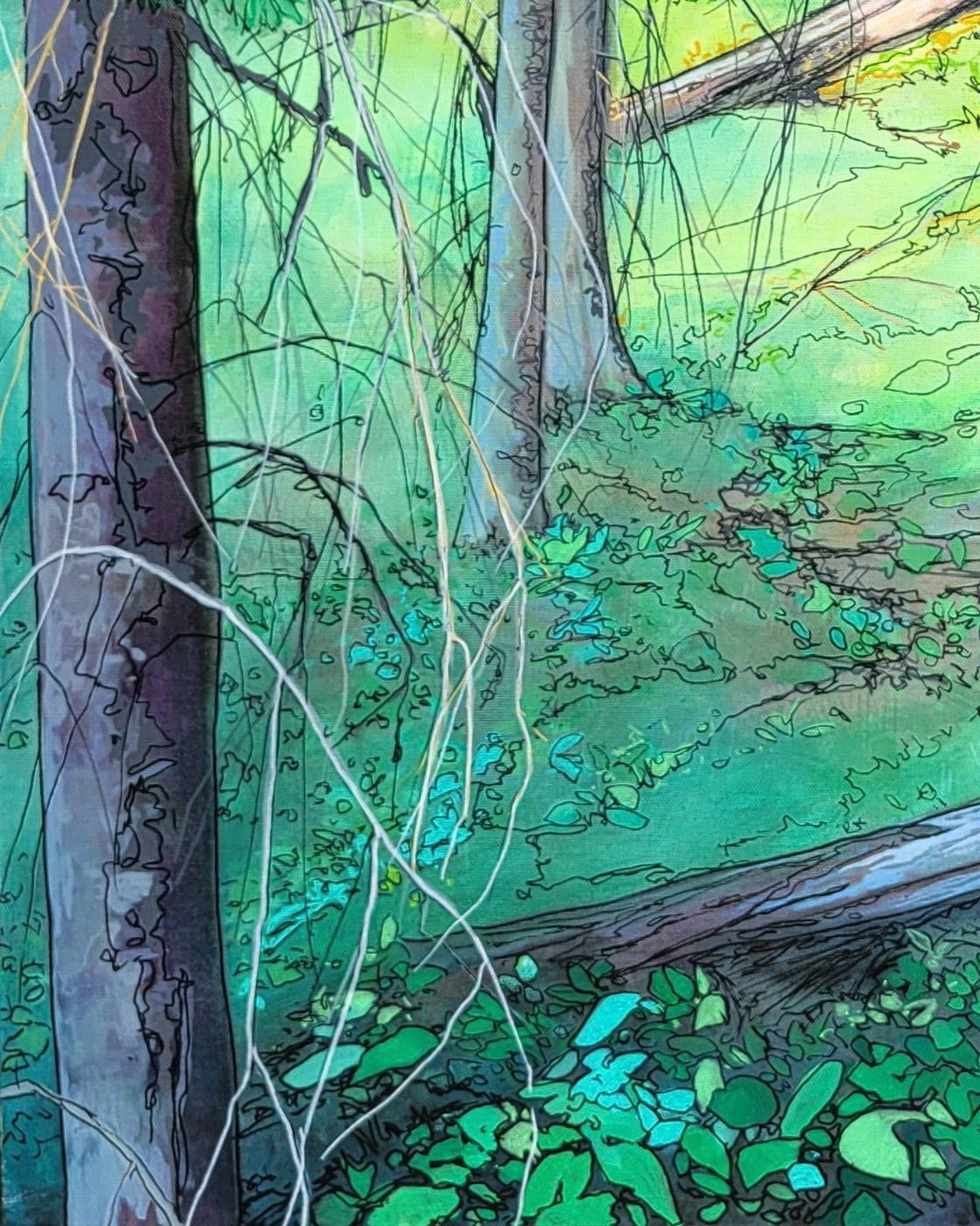 Where Shadows Breathe