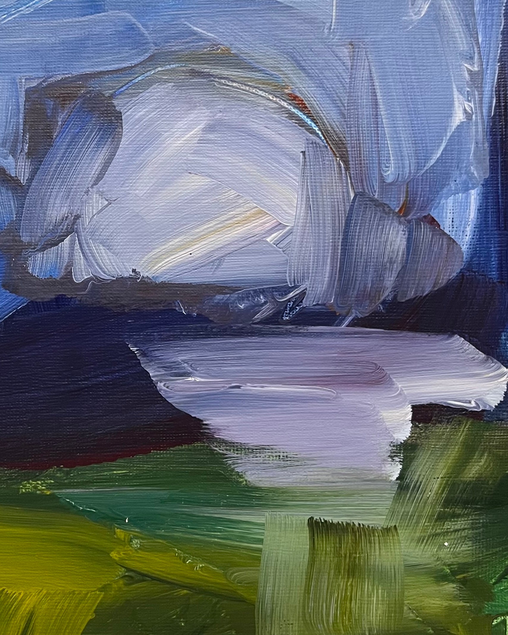 Landscape 30