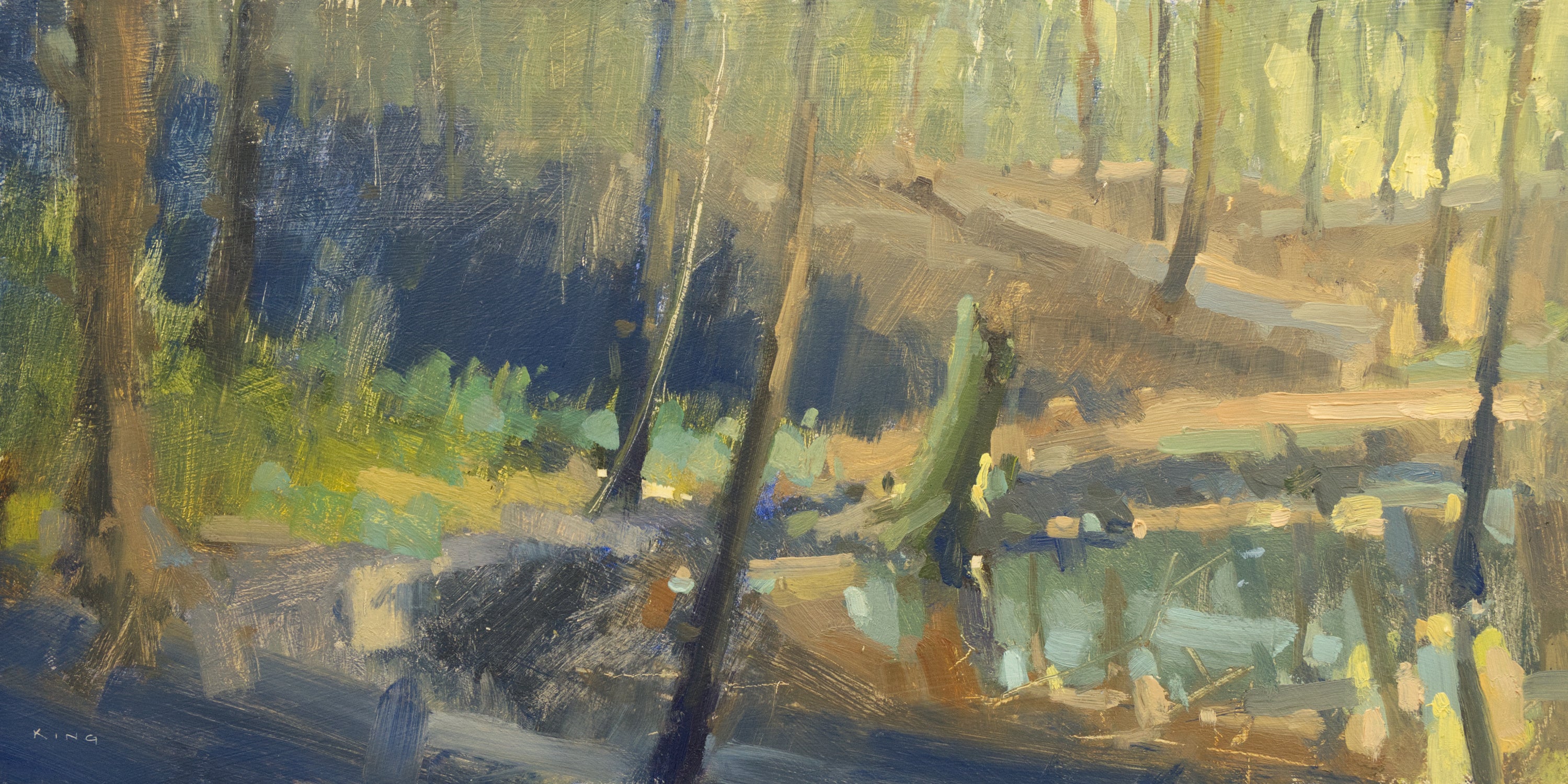 Glance Into The Forest