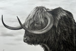 Horns For Days