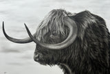 Horns For Days