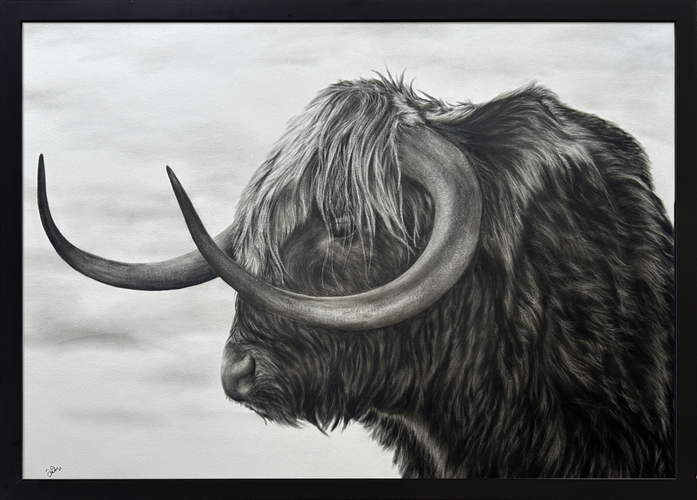 Horns For Days
