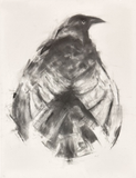 Perch