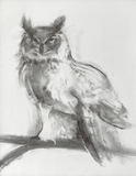 Night Watch