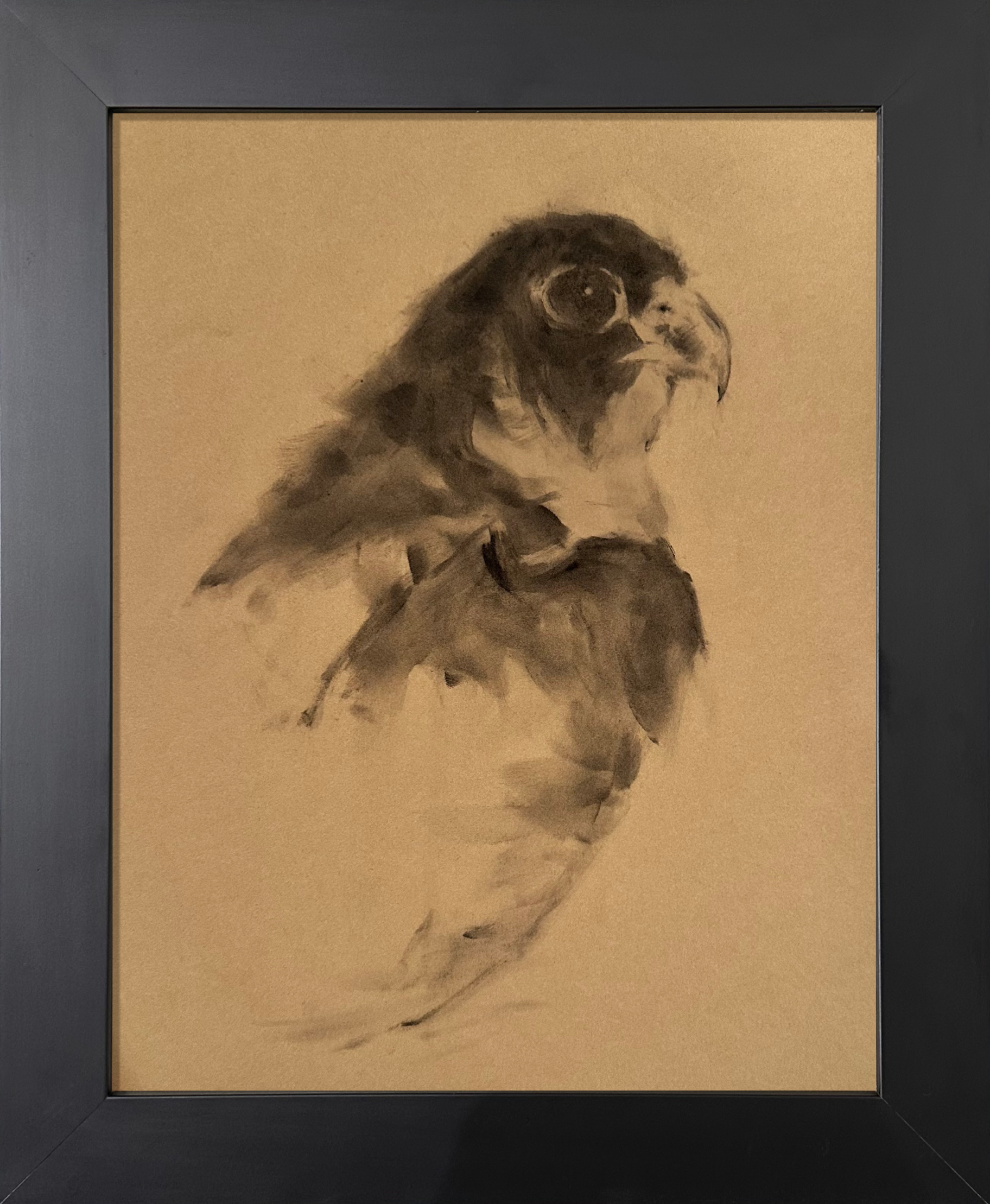 Bird of prey