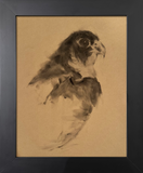 Bird of prey