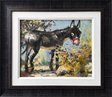 Donkey