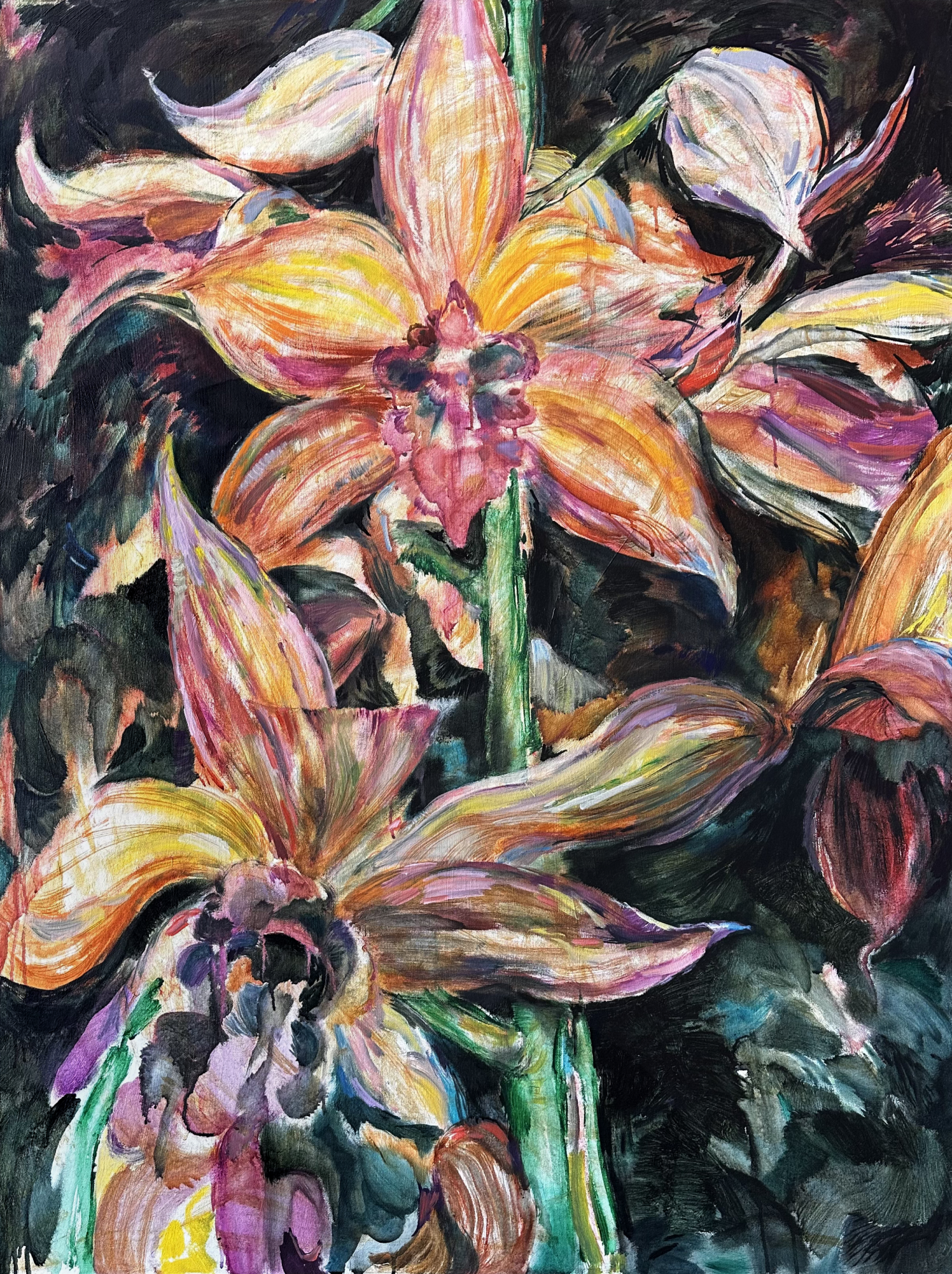 Orchid Beauty