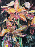 Orchid Beauty