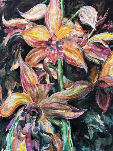 Orchid Beauty