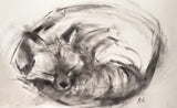 Sleeping Fox