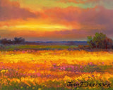 Sunset Gold