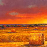 The Valley Beyond