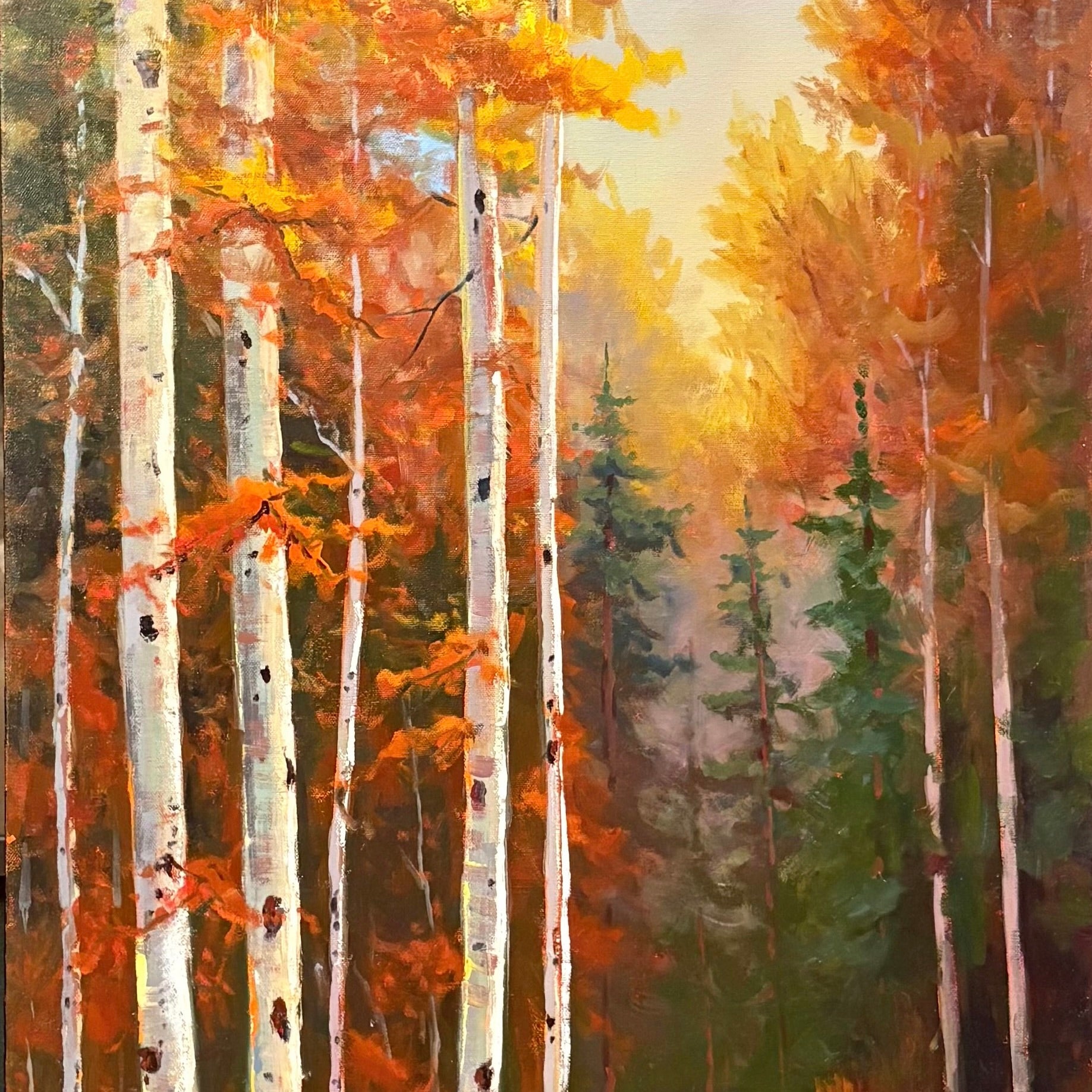 Refuge