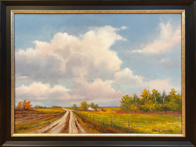 A Drive In The Country