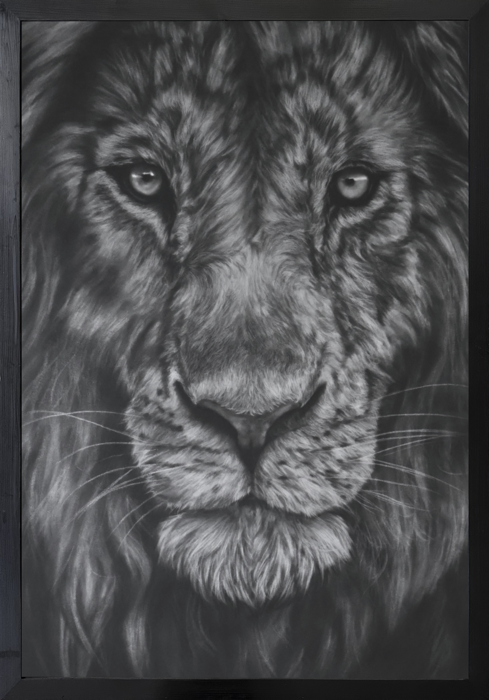 Majesty