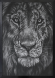 Majesty