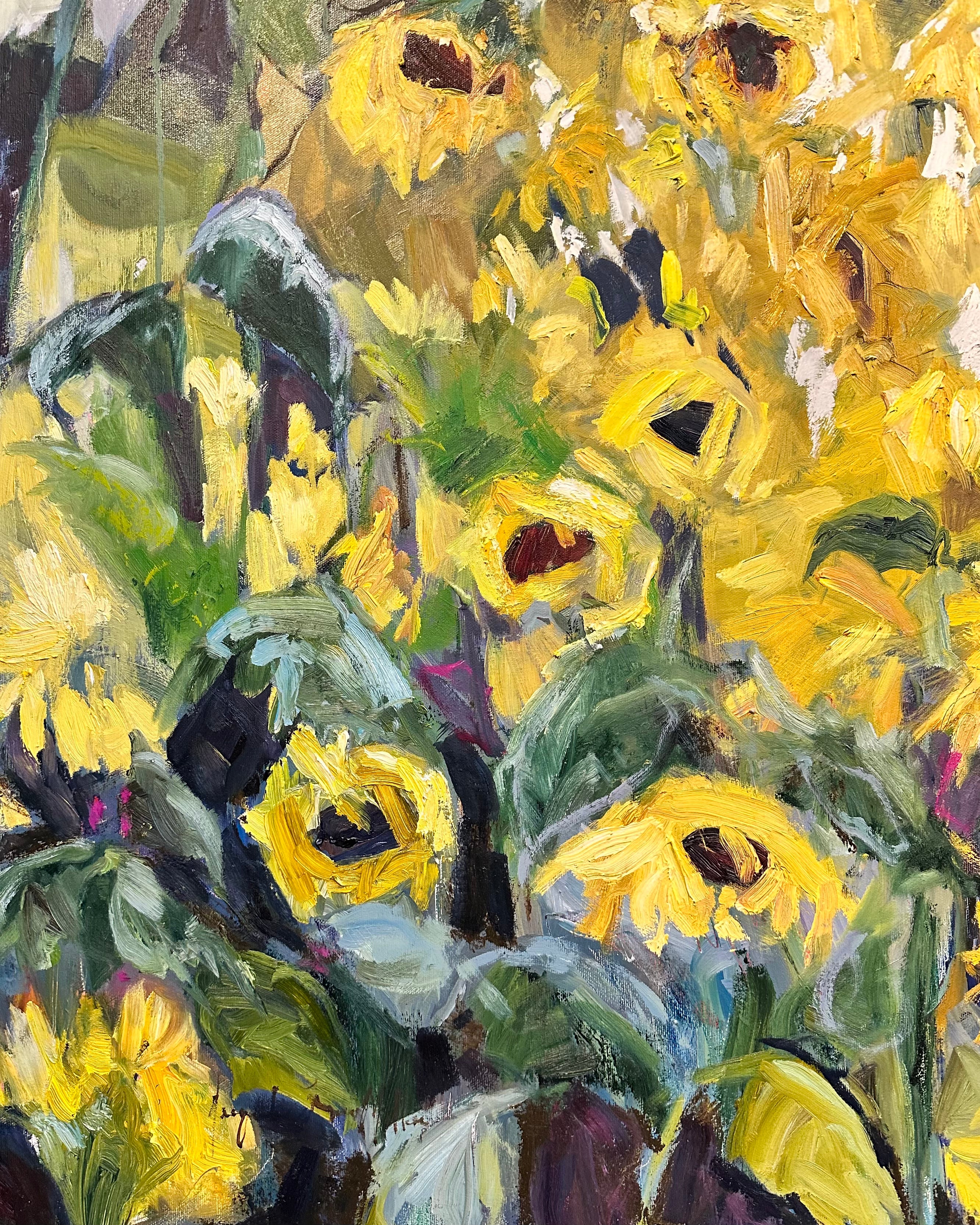 Calling all Sunshine
