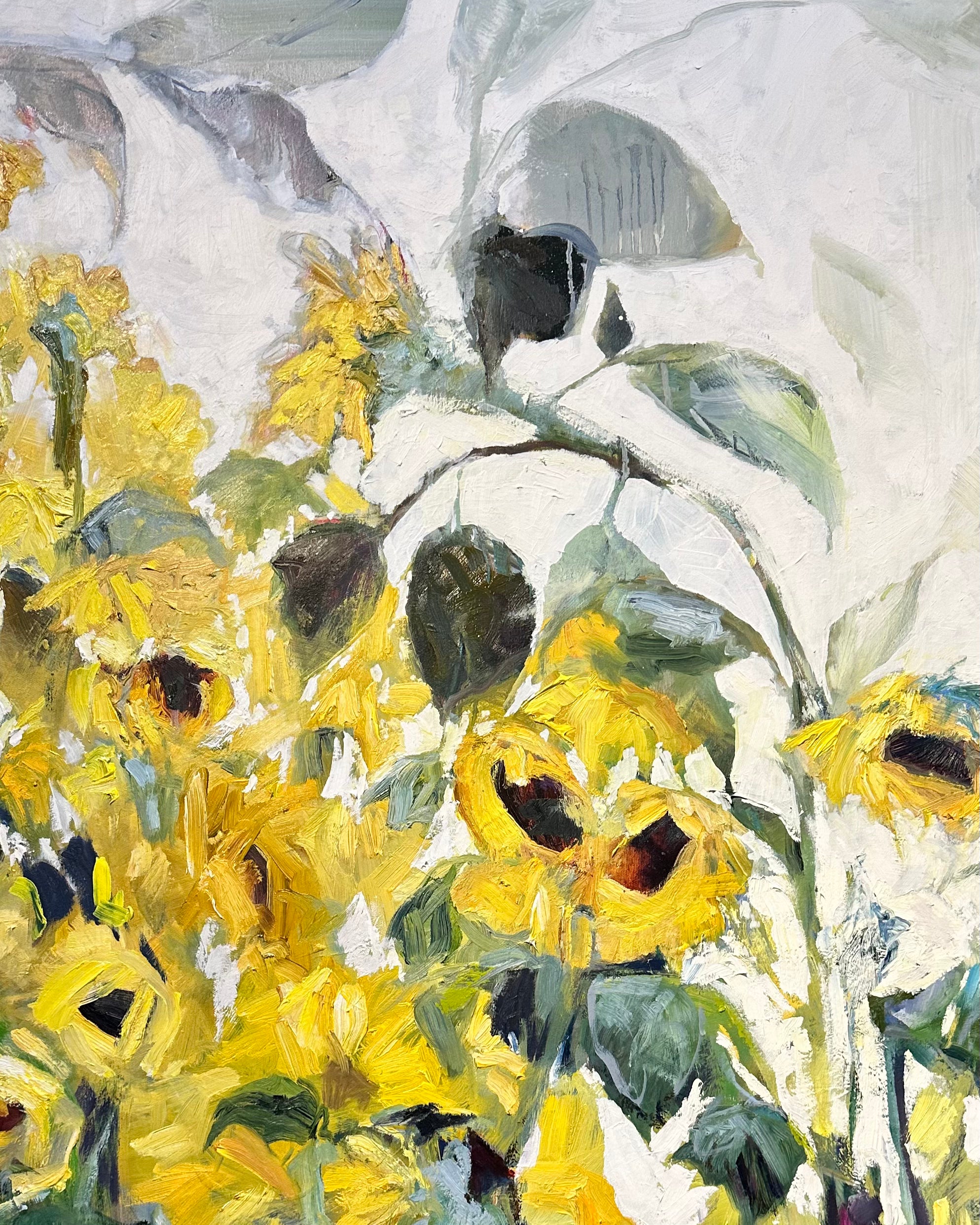 Calling all Sunshine