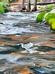 Refresh