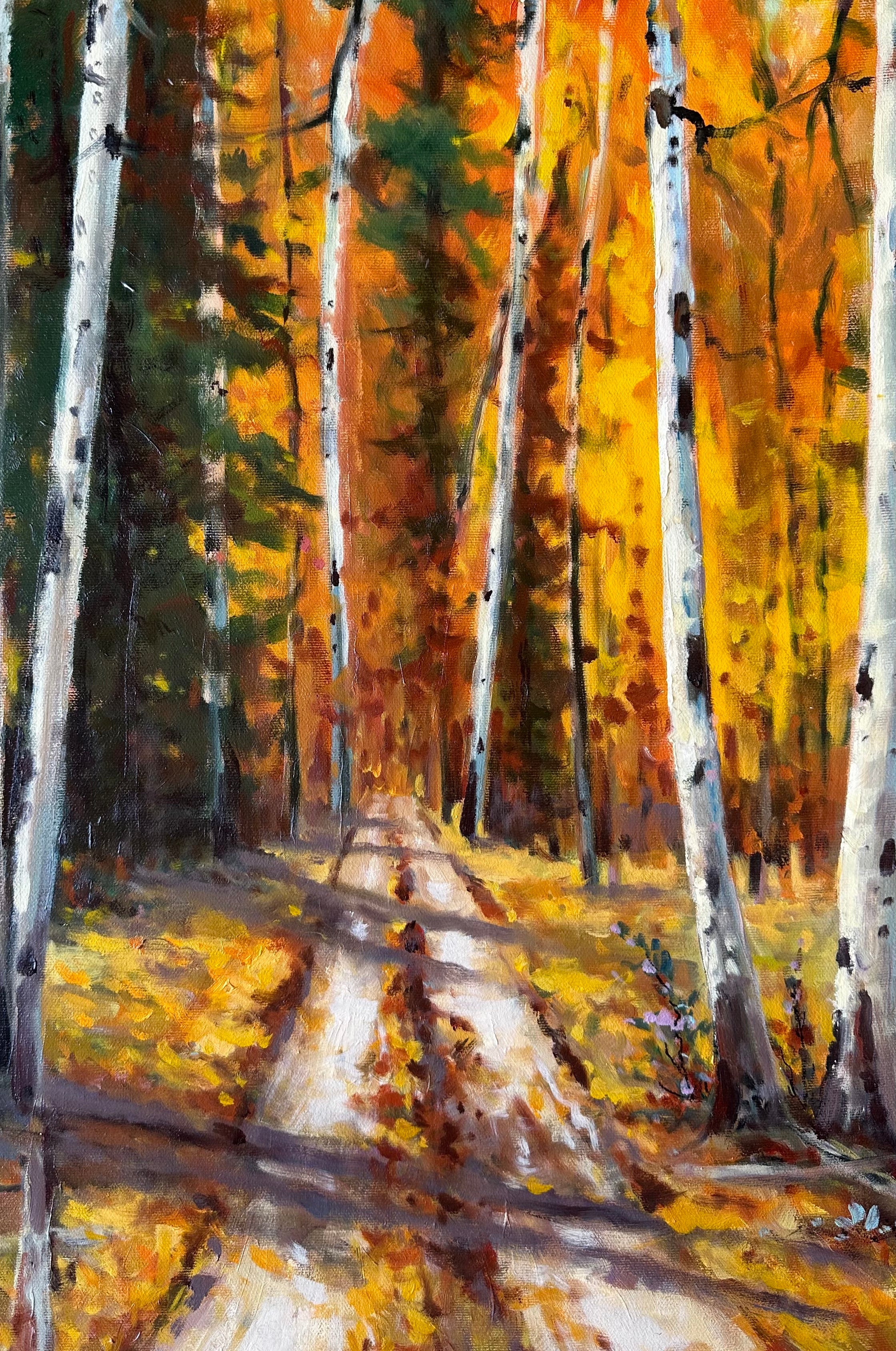 Road To The Cabin