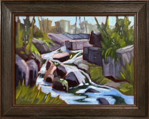 Bissell Park Creek