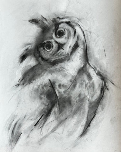 Hoot Goes There?