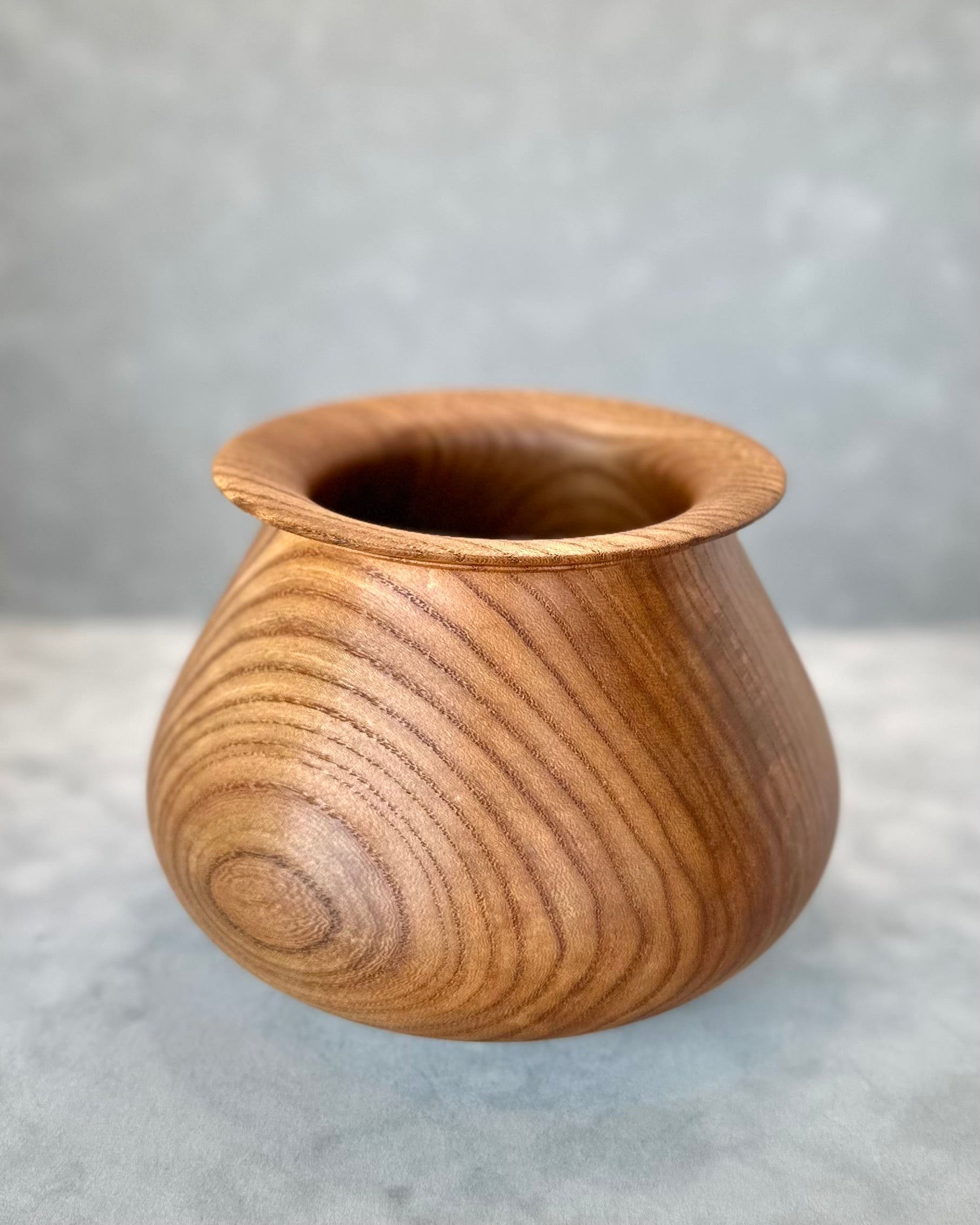 American Elm Dry Vase