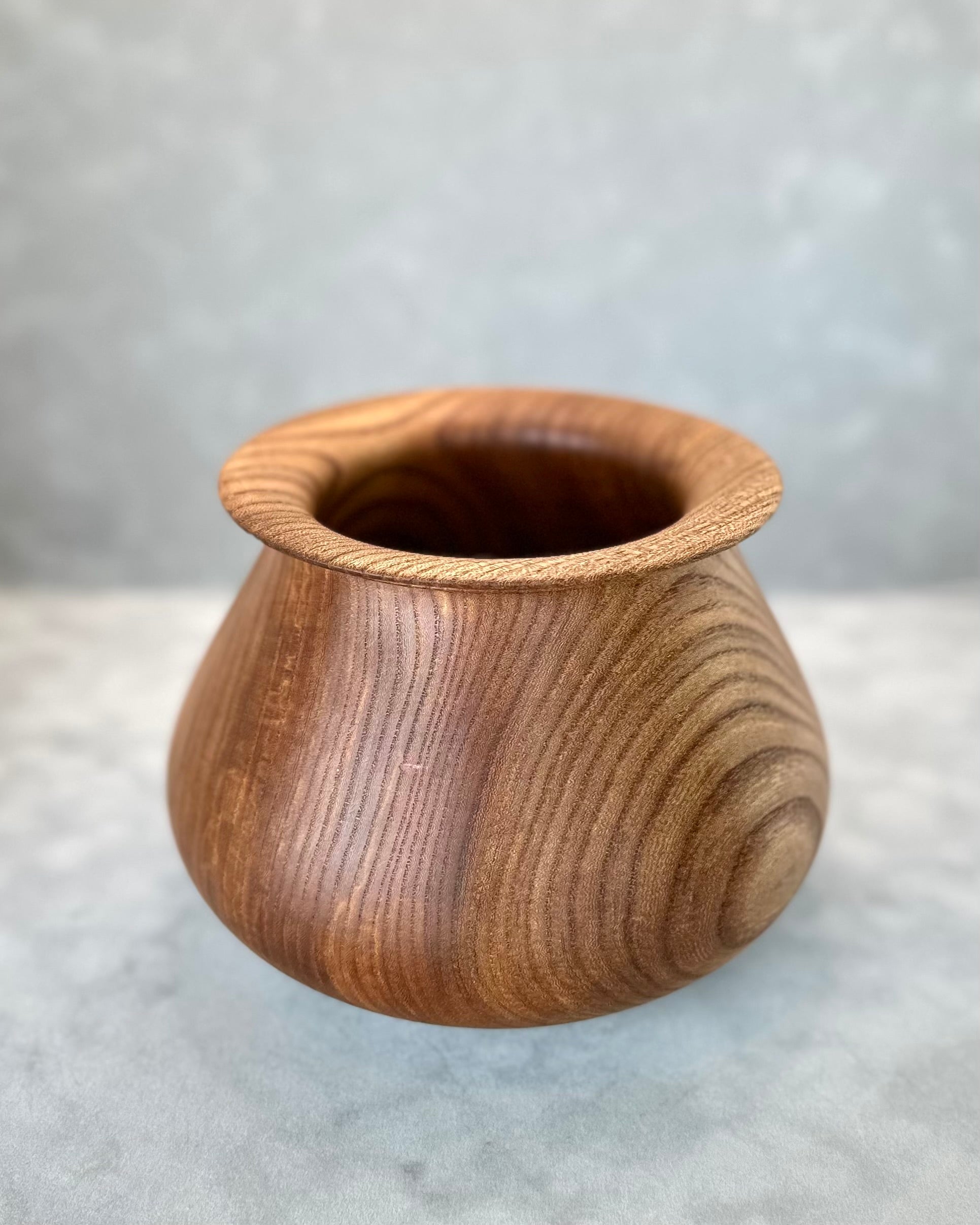 American Elm Dry Vase