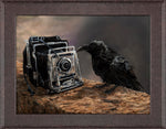 Roadside Attraction