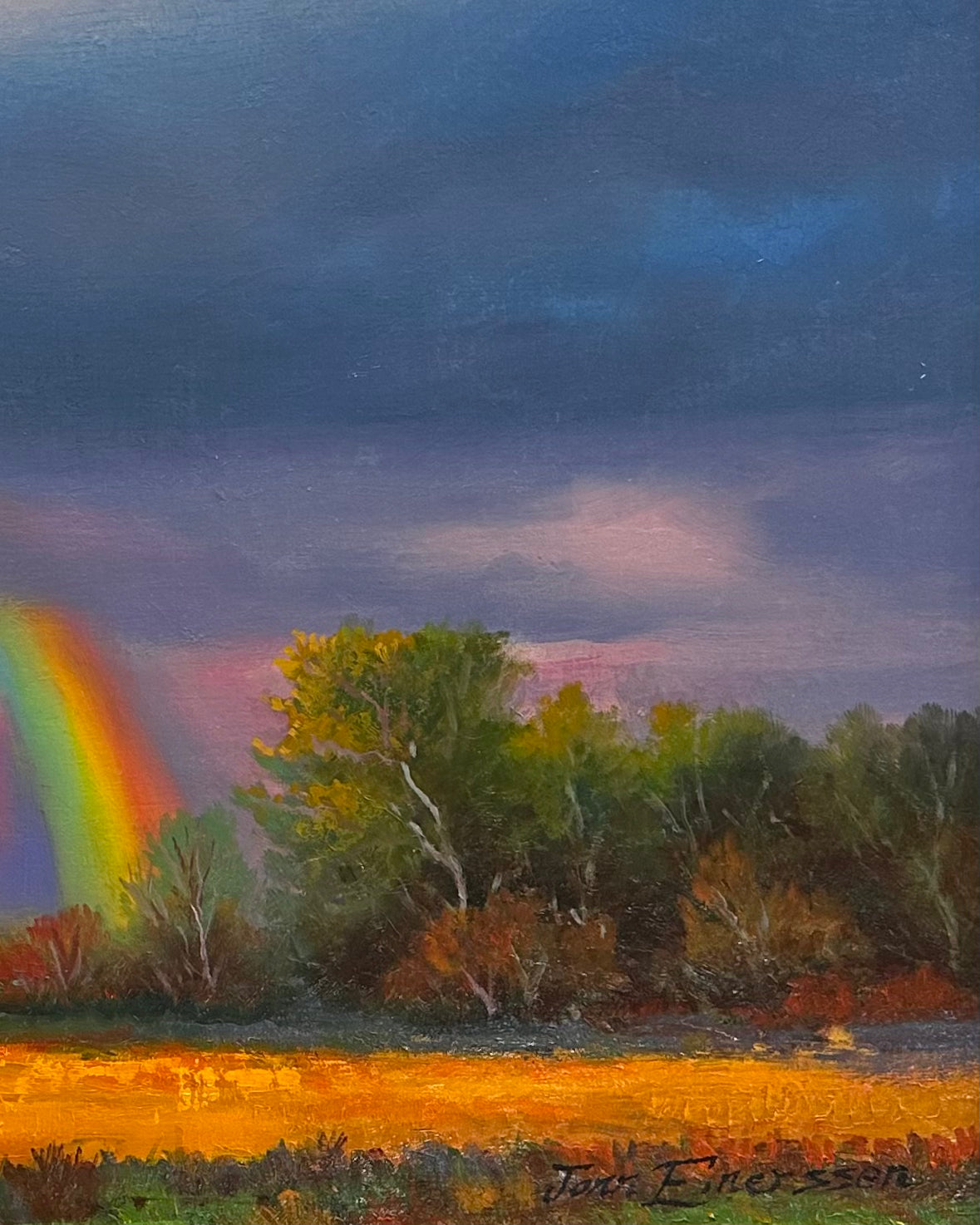 Of Fields and Rainbows