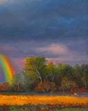 Of Fields and Rainbows