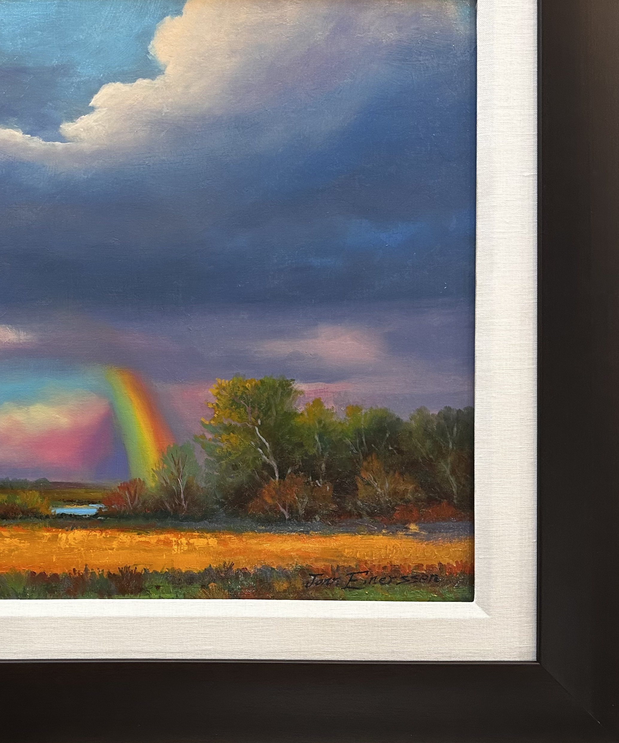 Of Fields and Rainbows