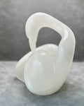 Gracefully Preening