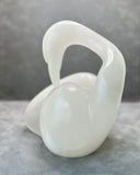 Gracefully Preening