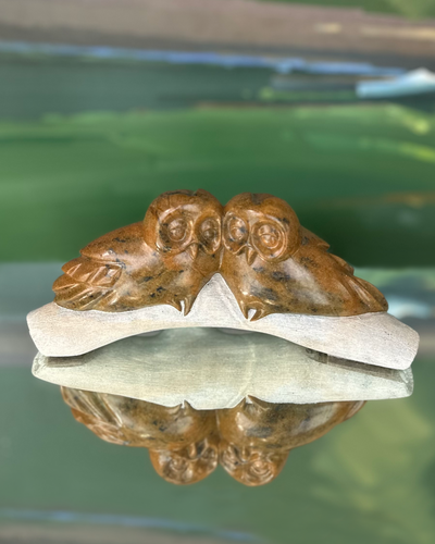 Smooshing Faces
