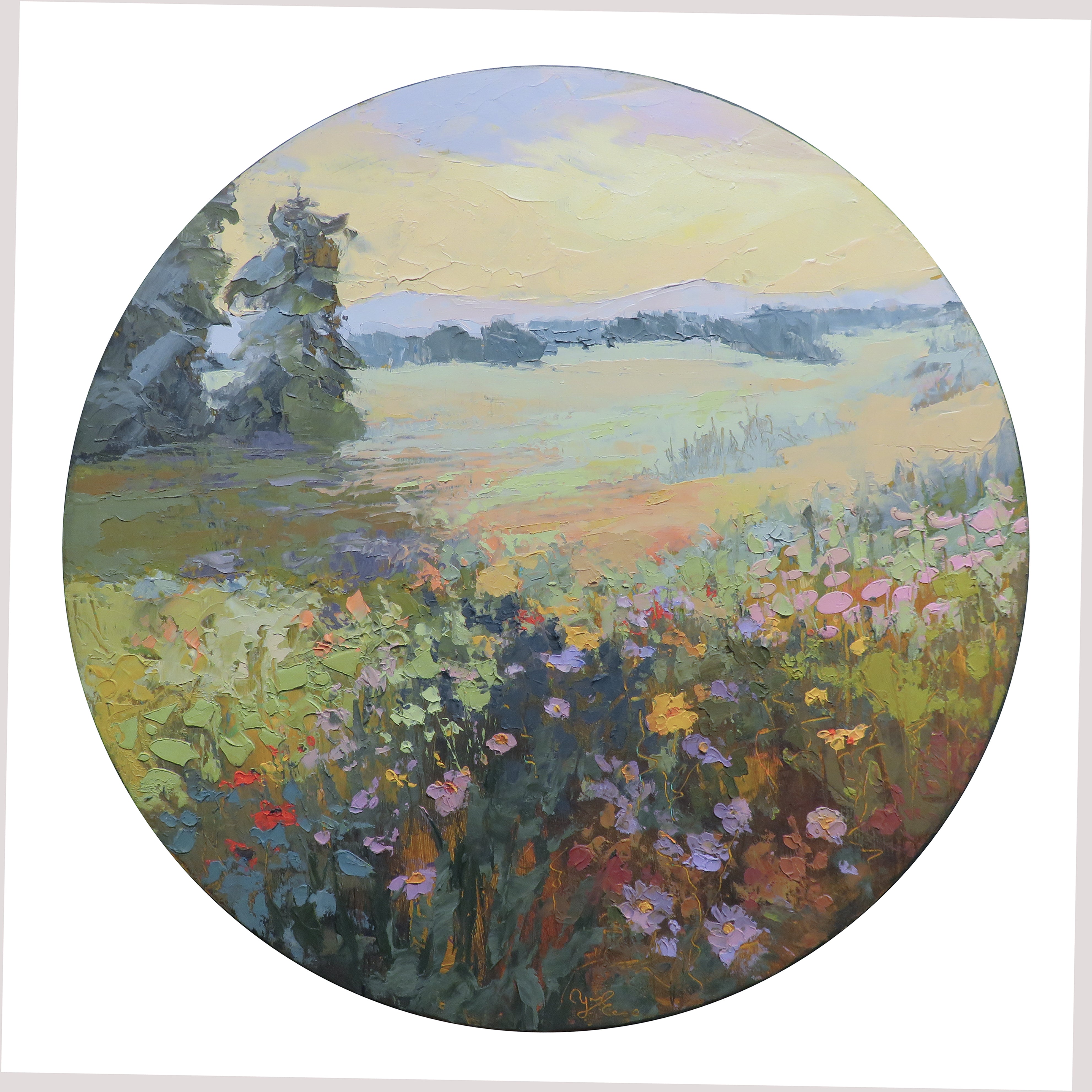 Morning of Quiet Wonders