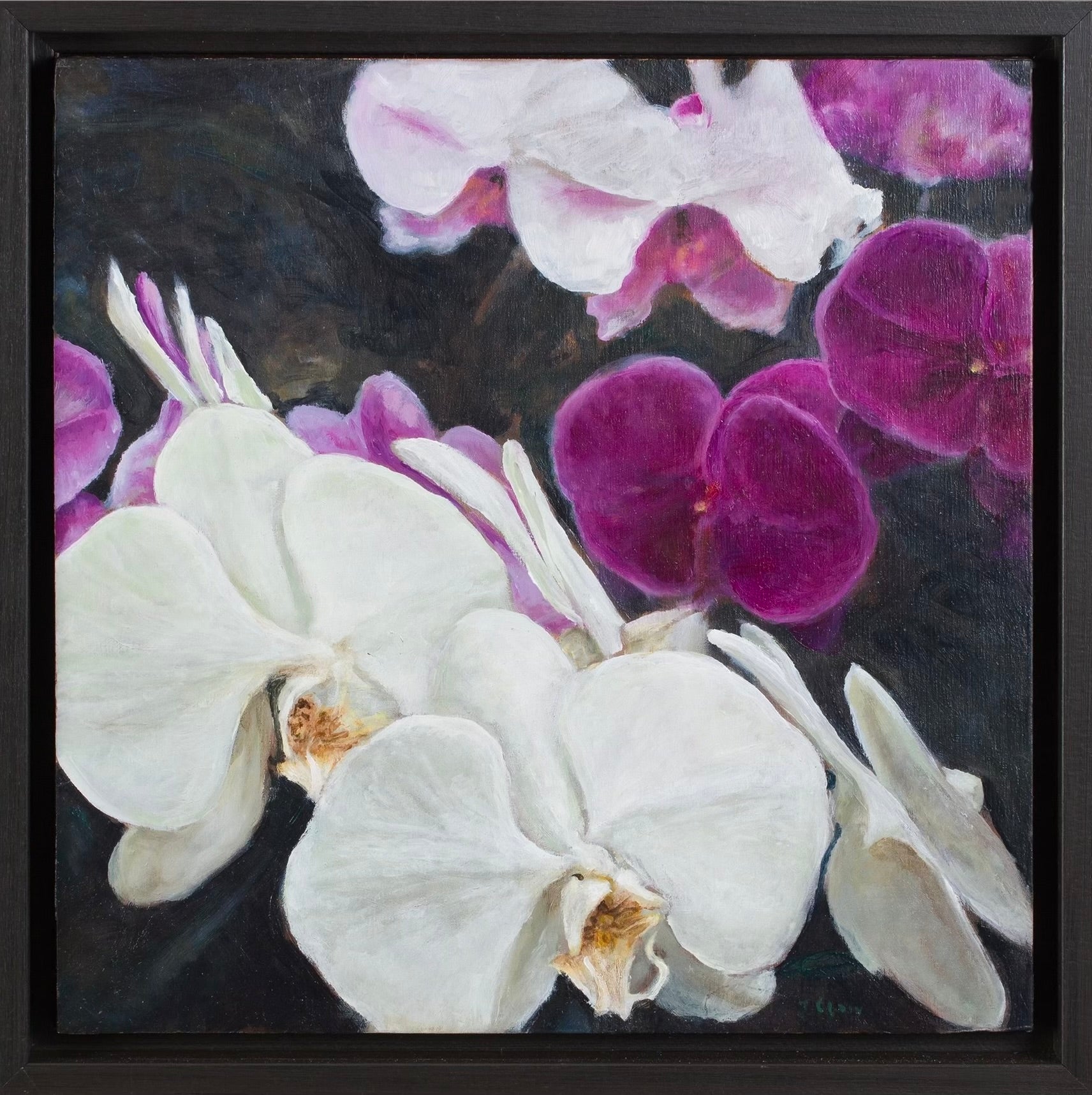 Orchids