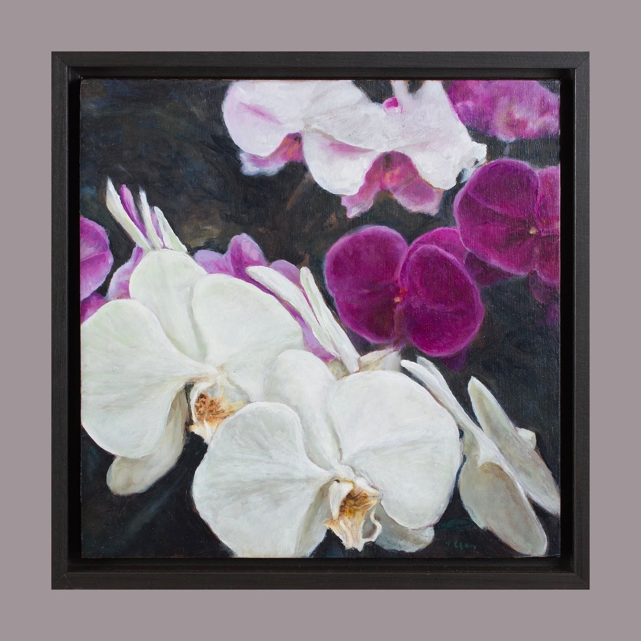 Orchids