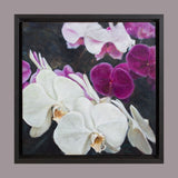 Orchids