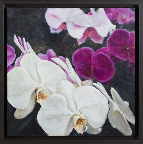 Orchids