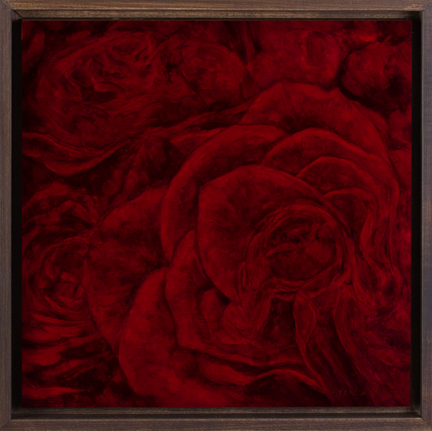 Red Roses #1