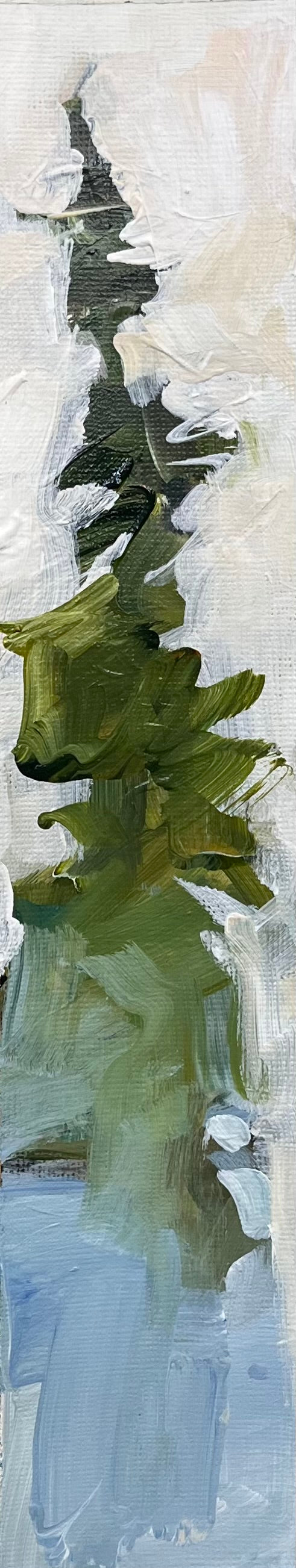 Landscape 28