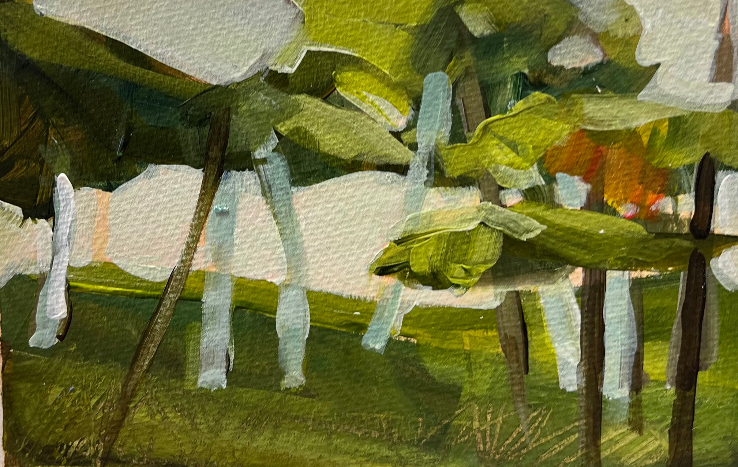 Landscape 37