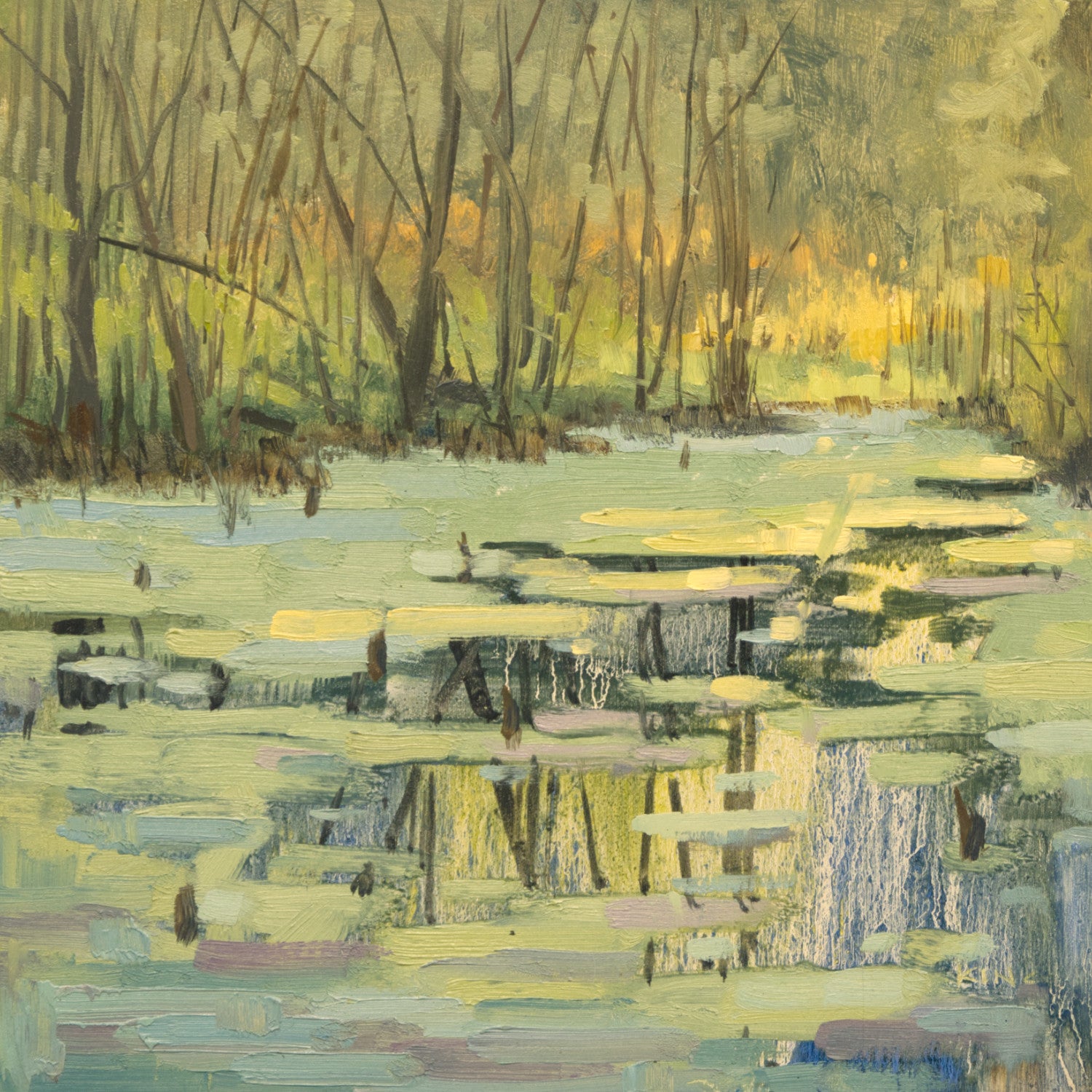 Mid Summer Pond