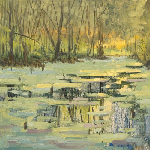 Mid Summer Pond