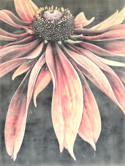 Nights Song In Scarlet