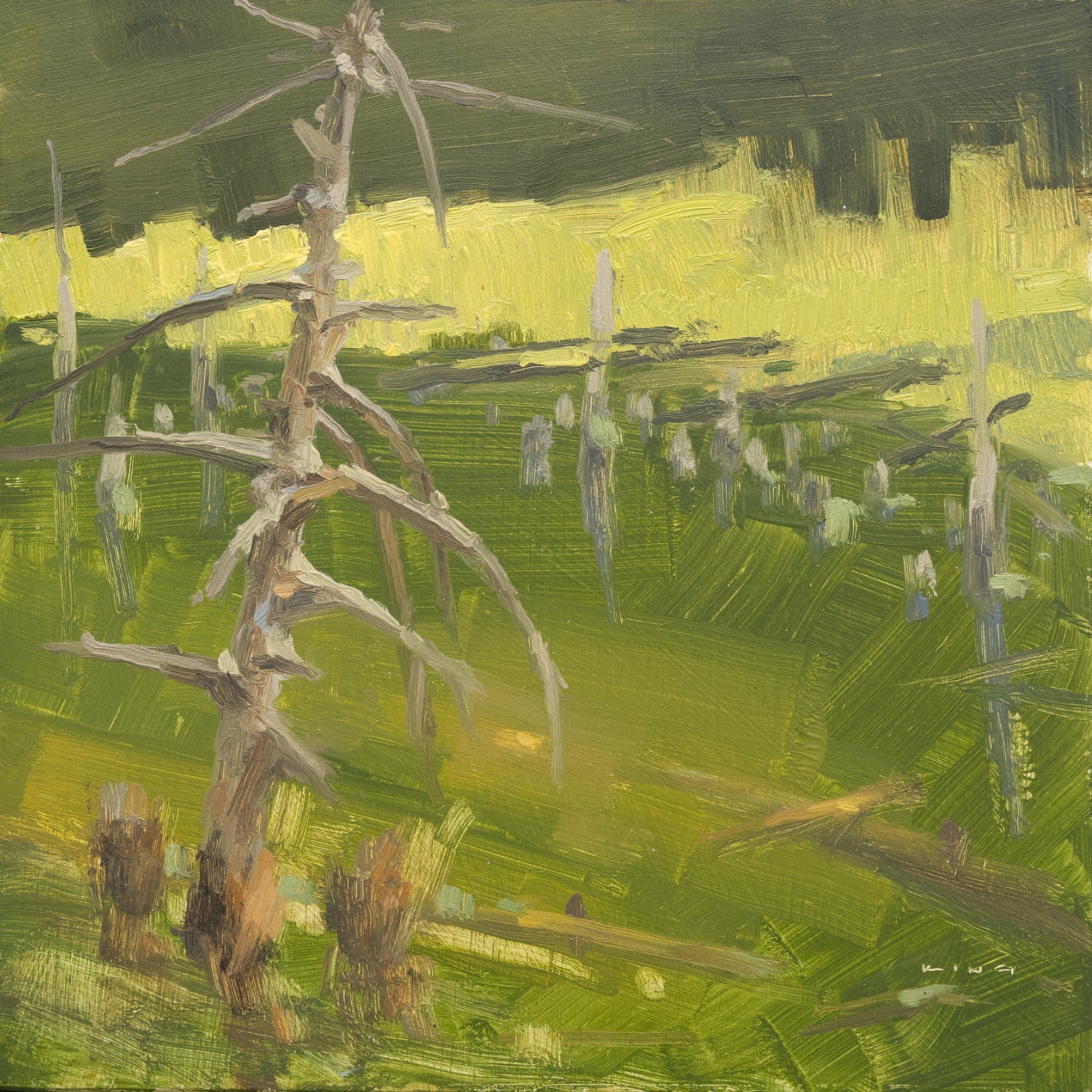 Old Pine