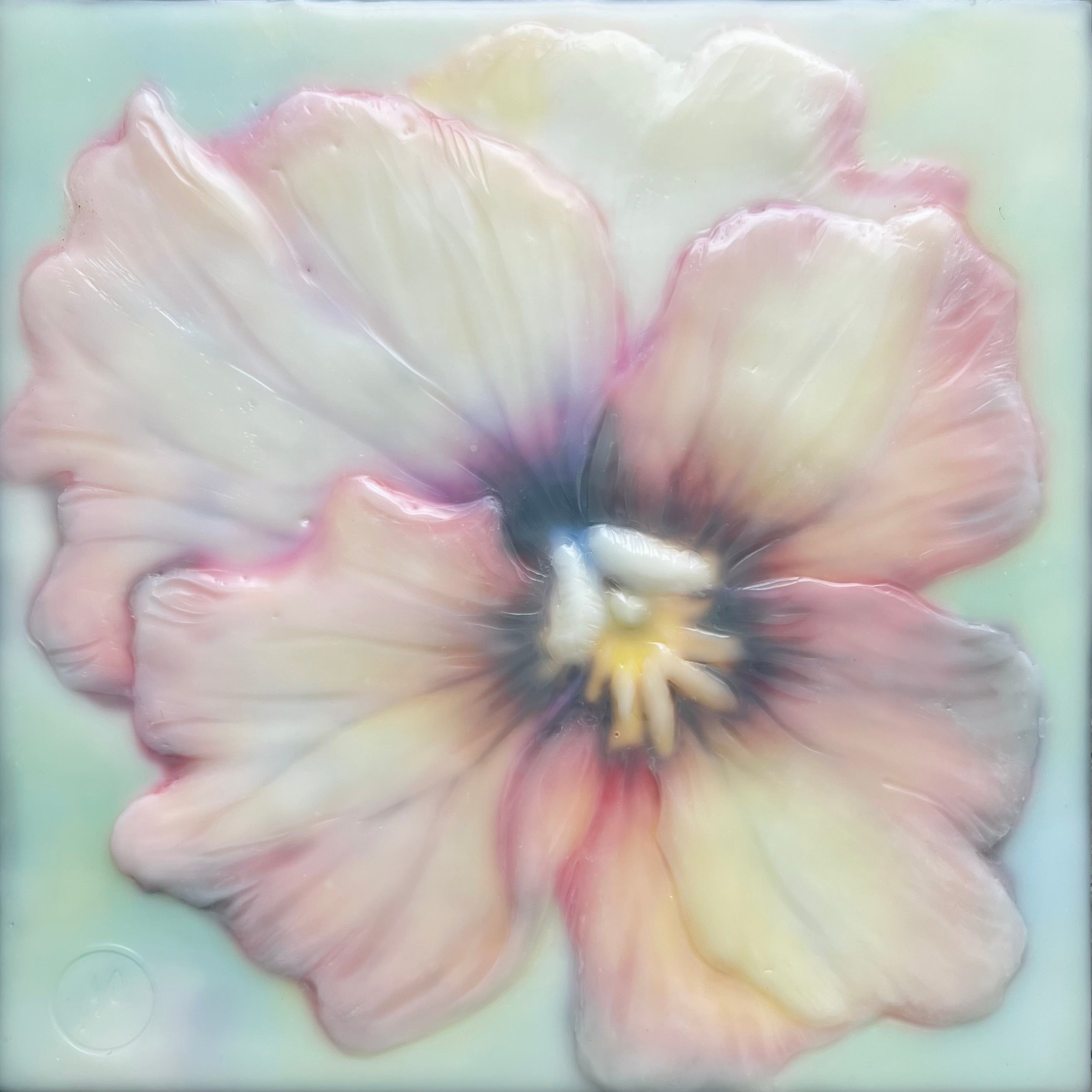 Pansy Perfection
