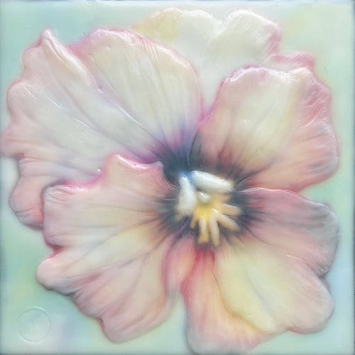 Pansy Perfection